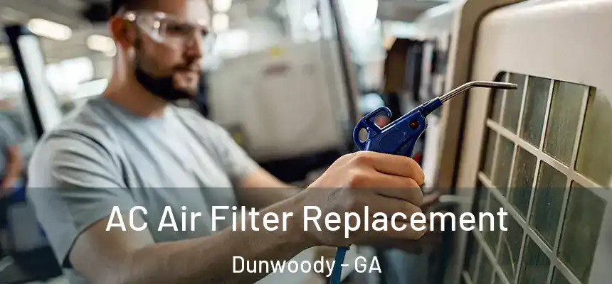  AC Air Filter Replacement Dunwoody - GA