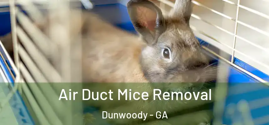 Air Duct Mice Removal Dunwoody - GA