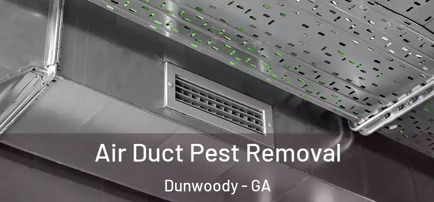 Air Duct Pest Removal Dunwoody - GA