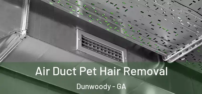 Air Duct Pet Hair Removal Dunwoody - GA