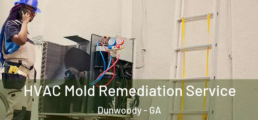  HVAC Mold Remediation Service Dunwoody - GA