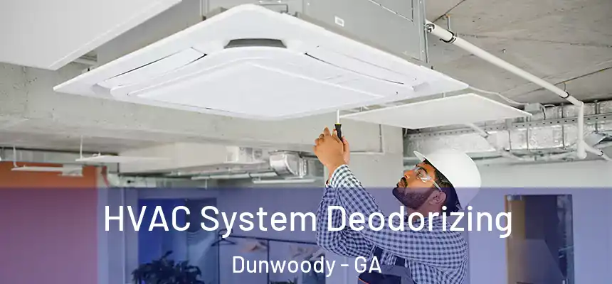 HVAC System Deodorizing Dunwoody - GA