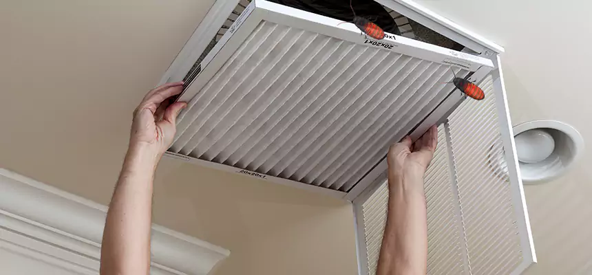 Our Insect Removal from Air Ducts Services in Dunwoody, GA