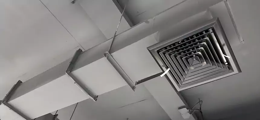 Our Rodent Droppings In Vents Services in Dunwoody, GA