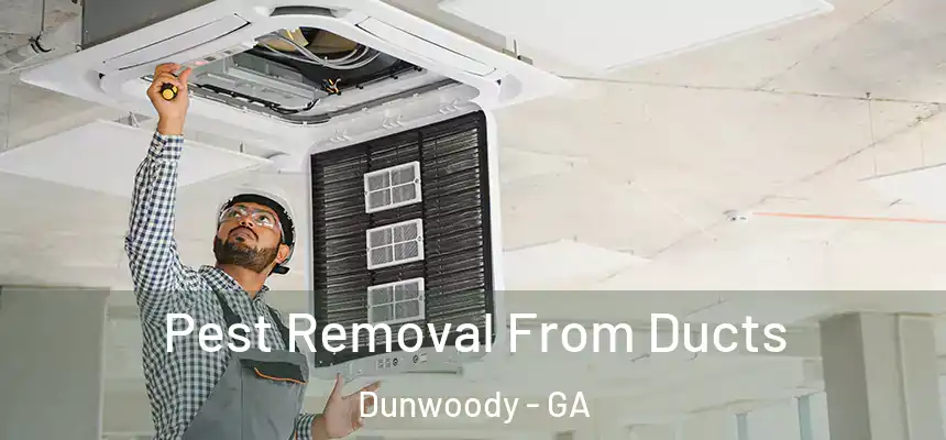  Pest Removal From Ducts Dunwoody - GA