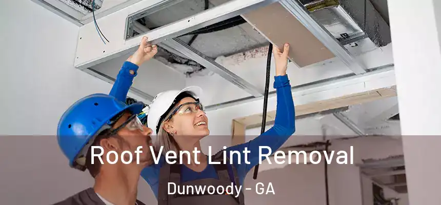 Roof Vent Lint Removal Dunwoody - GA