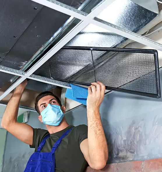 About Air Duct Bacteria Removal in Dunwoody