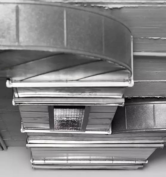 Professional Air Duct Pest Removal in Dunwoody, GA