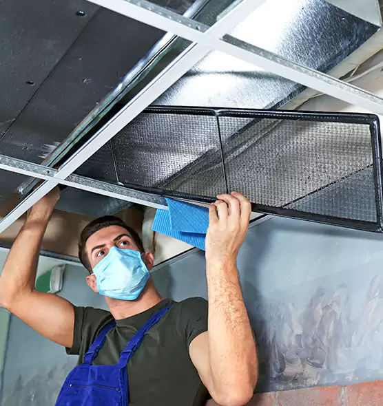 Professional Air Duct Pollen Cleaning in Dunwoody, GA