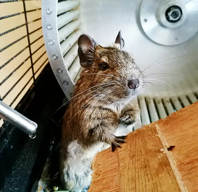 Why Homeowners & Businesses Trust Us Dunwoody, GA?