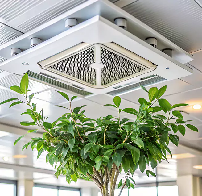 Why Homeowners & Businesses Trust Us in Dunwoody, GA?