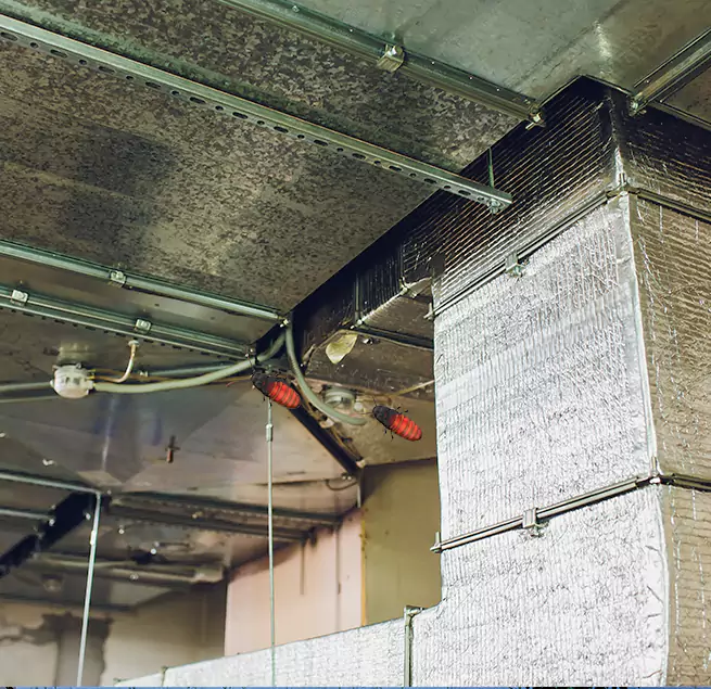 Why Homeowners & Businesses Trust Us Dunwoody, GA?