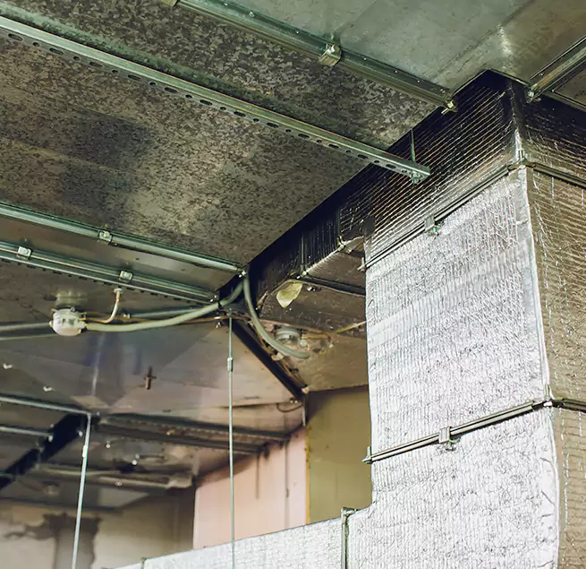 Why Homeowners & Businesses Trust Us in Dunwoody, GA?