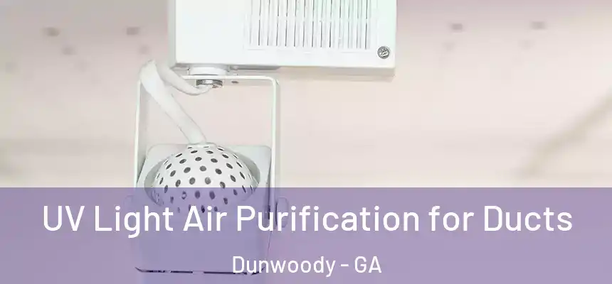  UV Light Air Purification for Ducts Dunwoody - GA
